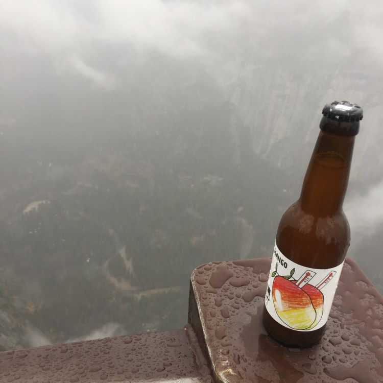 img_8728